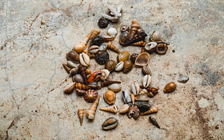 Can I use a rock tumbler to polish seashells?